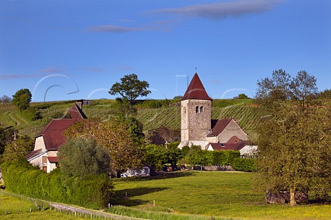 Church at StPierresousVadans with vineyards of Domaine de SaintPierre Jura France Arbois