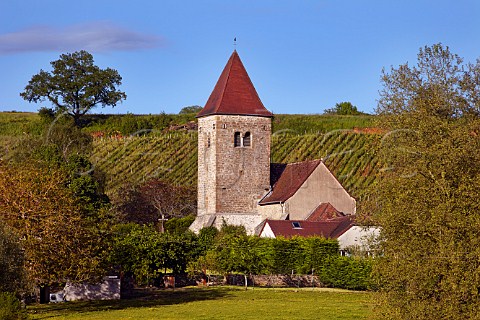 Church at StPierresousVadans with vineyard of Domaine de SaintPierre Jura France Arbois