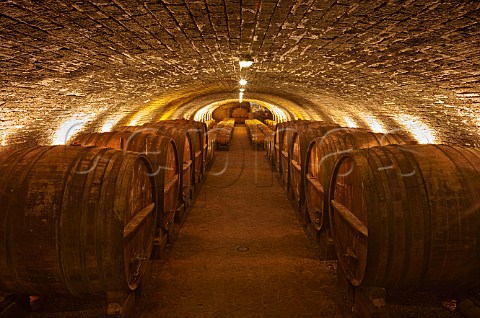 Foudres and barrels in cellar of Domaine de la Pinte Arbois Jura France
