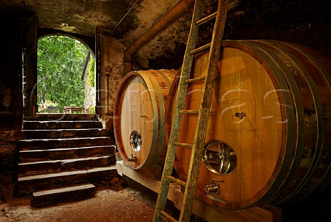 Foudres in cellar of Domaine de Montbourgeau Ltoile Jura France  Ltoile