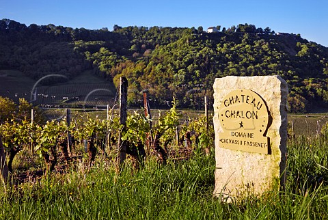 Marker stone in Savagnin vineyard of Domaine ChevassuFassenet at MentruleVignoble Jura France  ChteauChalon