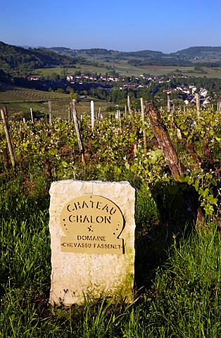 Marker stone in Savagnin vineyard of Domaine ChevassuFassenet at MentruleVignoble with Voiteur in distance Jura France  ChteauChalon