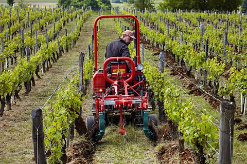JeanFranois Ganevat ploughing in his Les Chalasses vineyard Domaine Ganevat La Combe Rotalier Jura France Ctes du Jura
