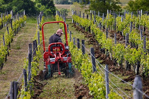 JeanFranois Ganevat ploughing in his Les Chalasses vineyard Domaine Ganevat La Combe Rotalier Jura France Ctes du Jura