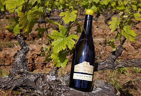 Bottle of Les Vignes de mon Pre and old vine in vineyard of Domaine Ganevat La Combe Rotalier Jura France Ctes du Jura