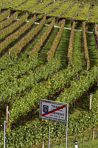 Bilingual village sign by vineyard at Tramin Alto Adige Italy