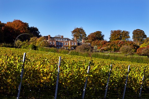 Mount Harry Vineyard the home of Sugrue South Downs sparkling wine and Mount Harry House Offham near Lewes Sussex England
