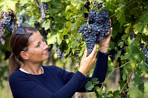 Marica Bonomo in vineyard of Monte del Fr  Fumane Veneto Italy  Amarone della Valpolicella