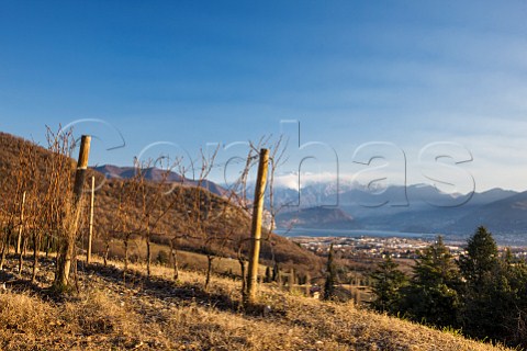 Vigna Uccellanda of Bellavista in winter with Lago dIseo in distance Iseo Lombardy Italy Franciacorta