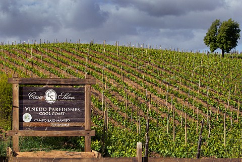 Sign for Viedo Paredones Cool Coast vineyard of Via Casa Silva  Colchagua Valley Chile