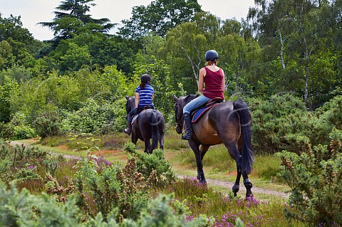 Horse riders on Fairmile Common Esher Surrey England