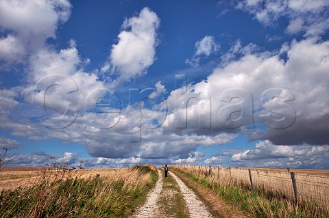 Woman walking on bridlepath on the South Downs near Bostal Hill  Alfriston Sussex England