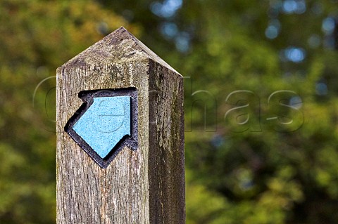 Bridleway marker post Bookham Common Surrey England