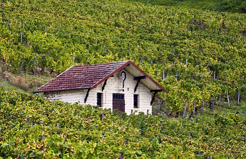 The cabin with a  in vineyard of Domaine De Lahaye NevysurSeille Jura France ChteauChalon