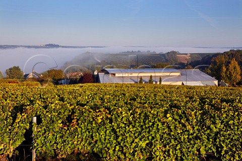 Winery of Michel Bailly with view over the fogfilled Loire Valley to the hilltop town of Sancerre Les Loges near PouillysurLoire Nivre France  PouillyFum