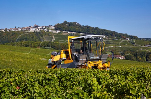 Machine harvesting Sauvignon Blanc grapes in vineyard of Domaine Andr Robineau with the hilltop town of Sancerre beyond Cher France  Sancerre