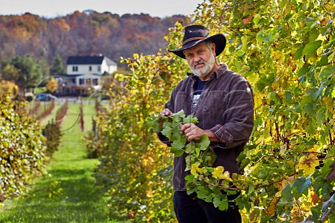 Doug Fabbioli in vineyard of Fabbioli Cellars Leesburg Virginia USA