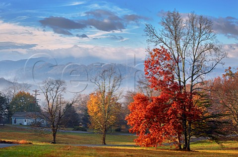 Autumnal trees in the gardens of the Mark Addy Inn with the Blue Ridge Mountains in distance Nellysford Virginia USA