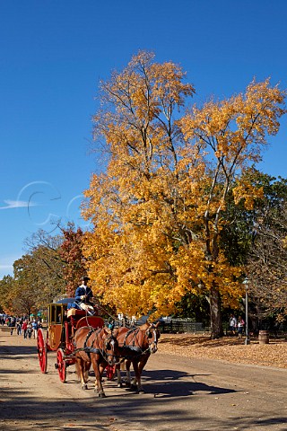 Horsedrawn carriage on Duke of Gloucester Street Colonial Williamsburg Virginia USA