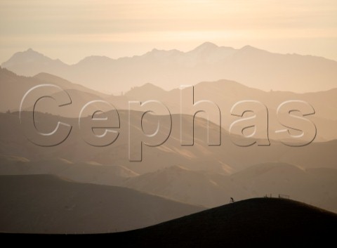 Mountain biker riding a ridge in the Wither Hills with the Blairich Range beyond Marlborough New Zealand
