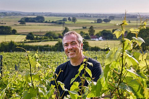 Guy Smith in Higher Plot Vineyard of Smith and Evans Langport Somerset England