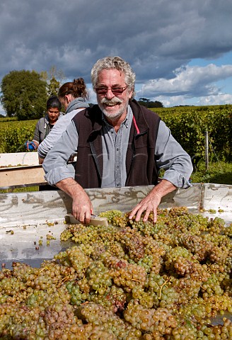Jacky Blot with Chenin Blanc grapes on the sorting table in his Clos de Mosny vineyard Domaine de la Taille aux Loups Husseau IndreetLoire France MontlouissurLoire