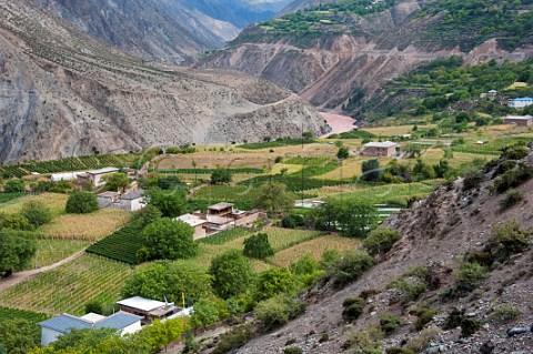 Vineyards and agriculture at Ximangtong village on the LanCang River in the Heng Duan Mountains Yunnan Province China