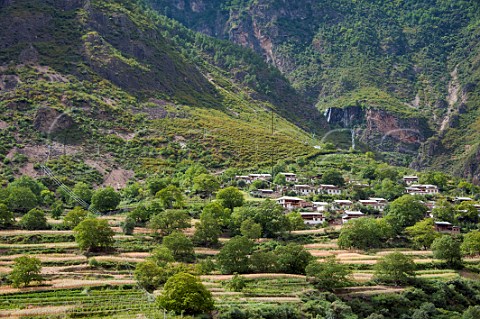 Terraced vineyards in the Lancang River valley seen from the De Wei Xian Road Near Cizhong Yunnan Province China