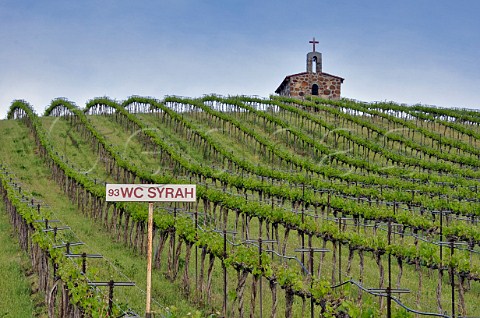 Syrah vines below the chapel in Red Willow vineyard Near Toppenish Washington USA Yakima Valley AVA