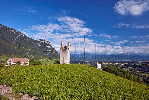 One of Les Tours de Chignin in vineyards above Chapelle StAnthelme Chignin Savoie France