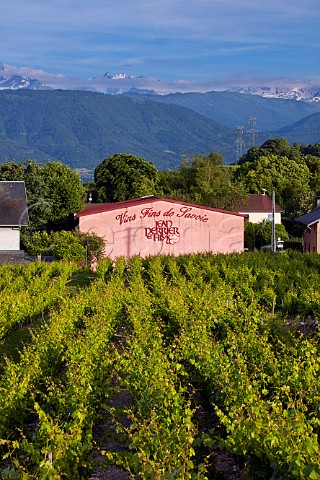 Winery of Jean Perrier et Fils  Les Marches Savoie France  Apremont