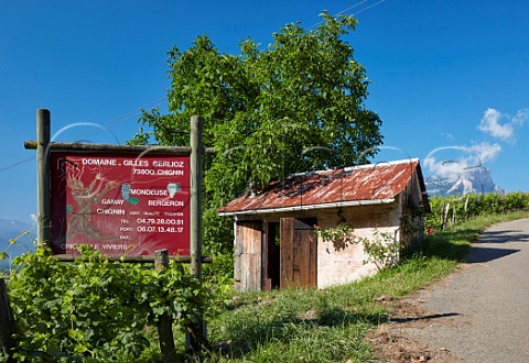 Sign in vineyard of Domaine Gilles Berlioz Chignin Savoie France  Chignin