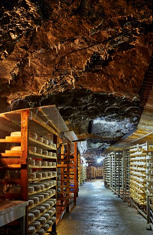Tomme de Savoie cheese ageing in the cave of Monts et Terroirs Montmlian Savoie France