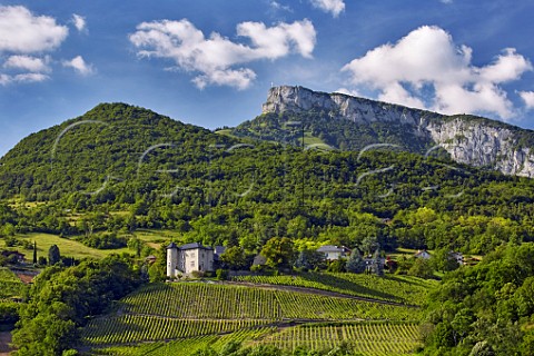 Chteau de Monterminod and its Altesse vineyards StAlbanLeysse near Chambry Savoie France  Roussette de Savoie cru Monterminod