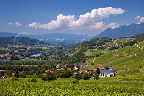 Jongieux village and church above the River Rhne The Altesse vineyards on the slopes of the Mont de Charvaz are Roussette de Savoie cru Marestel Savoie France   Roussette de Savoie cru Marestel