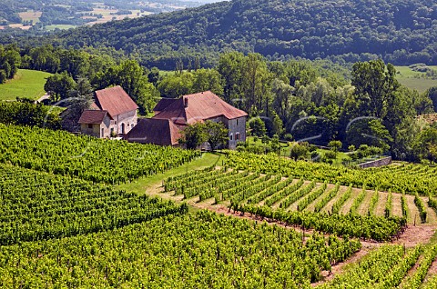 Chteau Bergin and vineyards of Domaine Edmond Jacquin et Fils Near Jongieux Savoie France  Roussette de Savoie