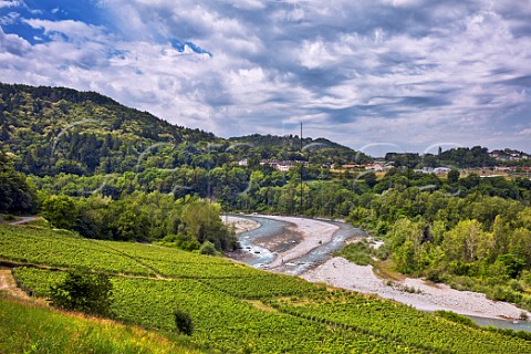 Clos du Pont vineyard of Domaine Delalex above the Dranse River Marin HauteSavoie France