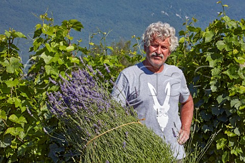 Jacques Maillet in La Vigne du Seigneur Gamay vineyard Domaine Jacques Maillet SerriresenChautagne Savoie France Chautagne