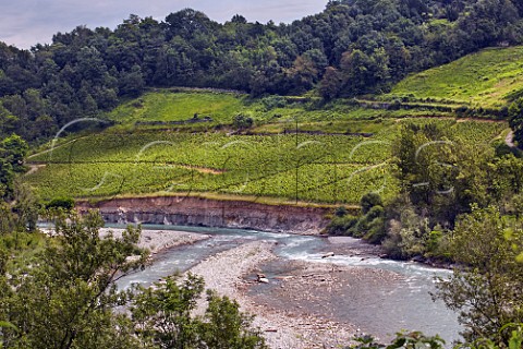 Clos du Pont vineyard of Domaine Delalex showing erosion by the Dranse River Marin HauteSavoie France