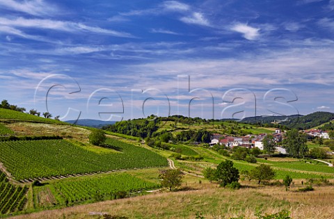 Vineyards around village of Mrignat Ain France  Cru Cerdon  Bugey