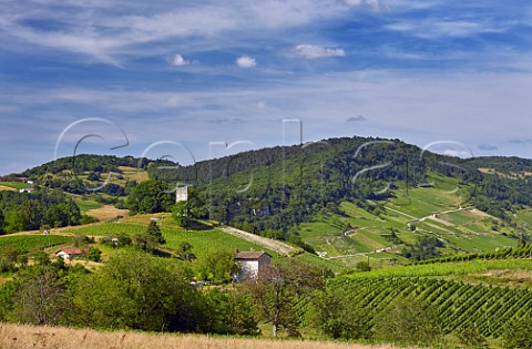 Vineyards between villages of Mrignat and Cerdon Ain France  Cru Cerdon  Bugey