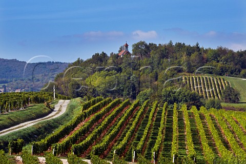 Chapelle SaintRomain and vineyards on the Camino de Santiago above JongieuxleHaut Savoie France Jongieux