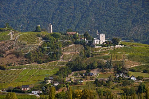 Vineyards around Les Tours de Chignin and Chapelle StAnthelme viewed across the valley from Myans  Savoie France