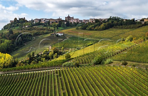 Vineyard of Elvio Cogno foreground below the town of Novello  Piedmont Italy Barolo