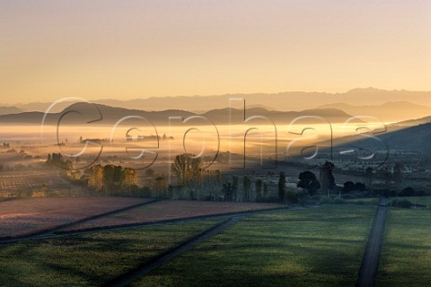 Dawn breaking over vineyards of Via Vik with the Andes mountains in distance  Millahue Chile Millahue Valley