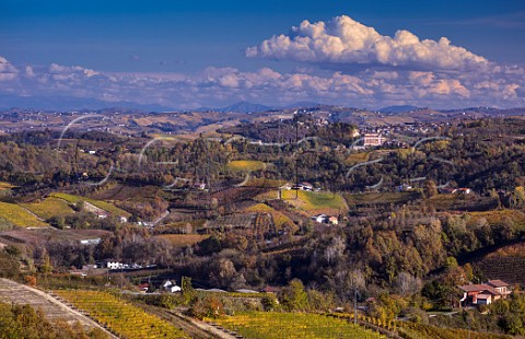 Autumnal vineyards around Monteu Roero Near Alba Piemonte Italy  Roero