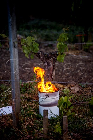Oil burning smudge pots in vineyard of Chteau La Gaffelire during subzero temperatures of April 2017 Stmilion Gironde France Saintmilion  Bordeaux