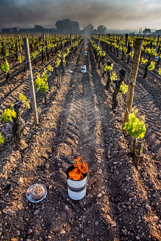 Oil burning smudge pots in vineyard of Chteau Lafleur during subzero temperatures of April 2017 Pomerol Gironde France Pomerol  Bordeaux