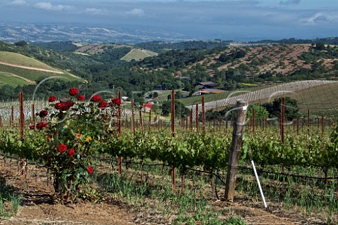 Daou Vineyards on Daou Mountain in the Adelaida District Paso Robles California  Paso Robles 