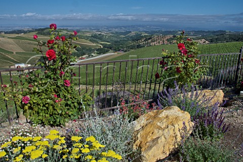 Daou Vineyards on Daou Mountain in the Adelaida District Paso Robles California  Paso Robles 